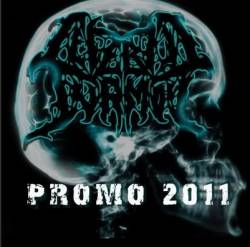 Cerebric Turmoil : Promo 2011
